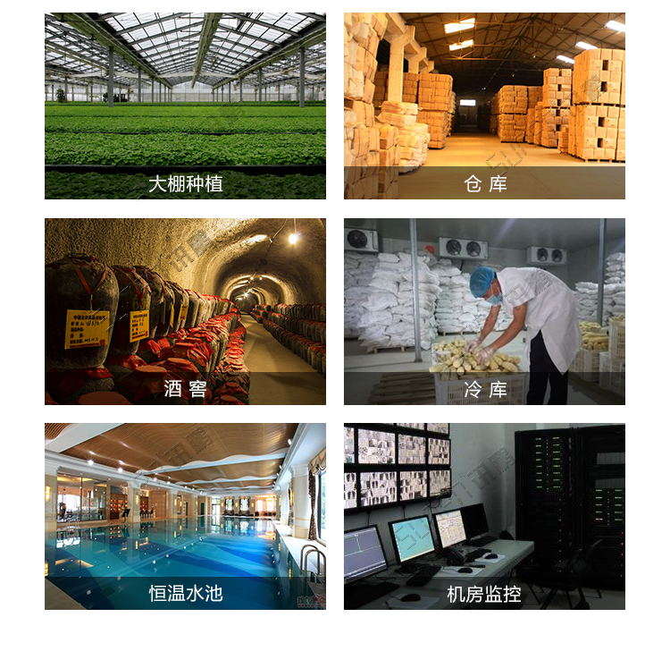 農(nóng)業(yè)環(huán)境監(jiān)控系統(tǒng)-應(yīng)用場景 農(nóng)業(yè)環(huán)境監(jiān)控系統(tǒng)-應(yīng)用場景